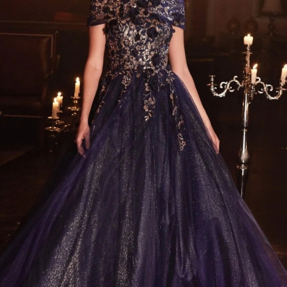 Elegant Navy Blue Gown with Gold Embroidery